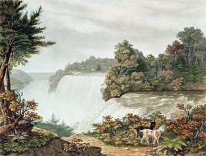 Chutes du Niagara, depuis Goat Island